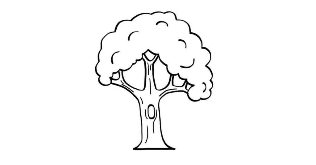 Árbol dibujo