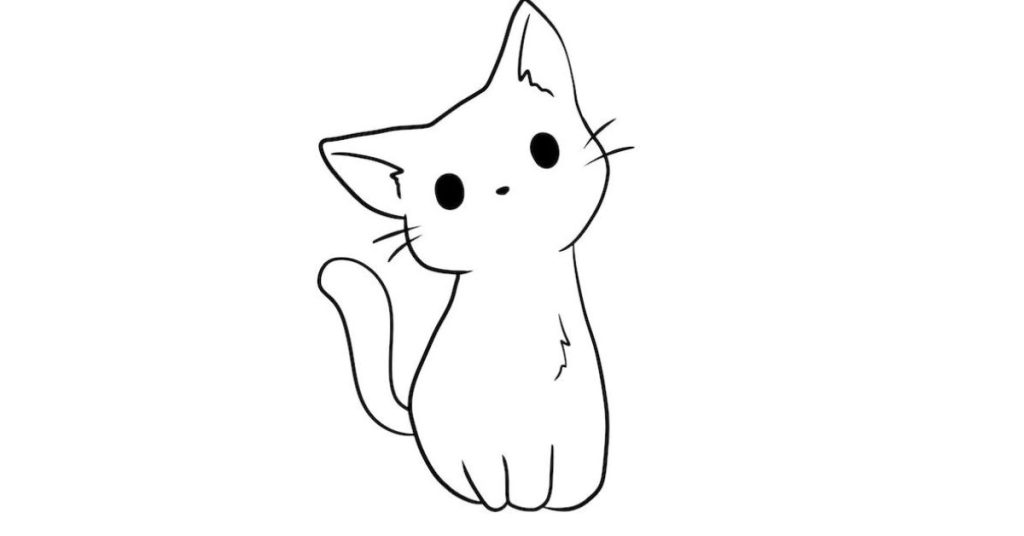 Gato dibujo