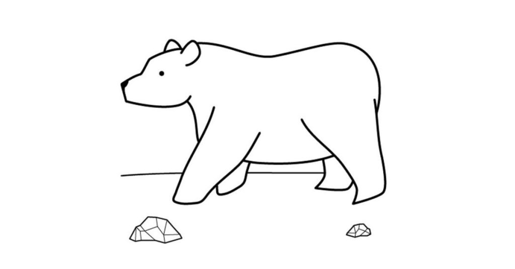 Oso dibujo