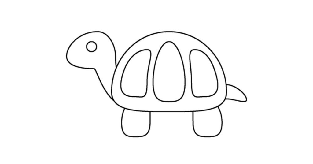 Tortuga dibujo